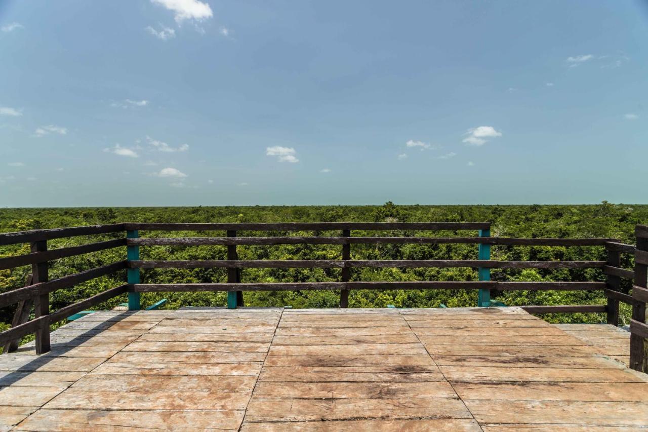 Hotel Reserva Nativa Solferino Luaran gambar